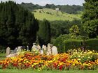 Photo 6x4 Flower Beds, Dorking Cemetery With view north-eastwards to Box  c2012