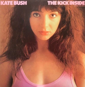 Kate Bush - The Kick Inside = 天使と小悪魔 / VG+ / LP, RE - Picture 1 of 1