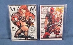 Jamie Tyndall Art Print Lot (2) 5x7 And 4.5x7 With Toploaders - Picture 1 of 7