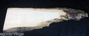 Rustic cherry Natural Live Edge Taxidermy Deer Horn Skull wood Mounting Board - Picture 1 of 3