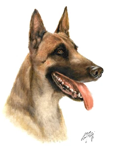 ✤ ORIGINAL Oil Dog Portrait Painting BELGIAN SHEEPDOG Artist Signed Art 8x10 - Picture 1 of 1