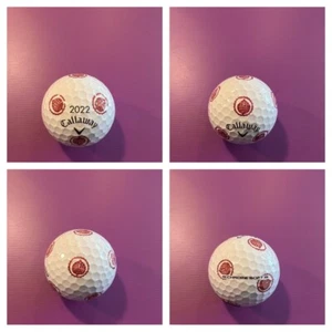 LOGO PELOTA DE GOLF - (1) #2022 ODELL BREWING COMPANY TRUVIS! ¡BORGOÑA! ¡NUEVO!! - Imagen 1 de 5