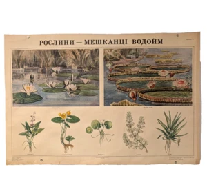 Save Nature and Rare Herbs - Vintage Boho Style - Soviet Ukraine Poster 1974 - Picture 1 of 10