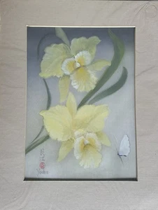 White Iris - Picture 1 of 1