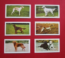 HORNIMANS  SIX  VINTAGE  1961  COLLECTABLE  TEA CARDS   DOGS   8-9-10-11-12-13