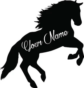 Custom Horse vinyl decal sticker for car/truck laptop window custom - Bild 1 von 2