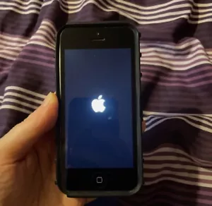 iPhone 5C White - Picture 1 of 11