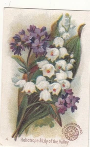 Arm & Hammer Church & Co HELIOTROPE & LILY OF THE VALLEY Vict Card c1880s - Picture 1 of 2