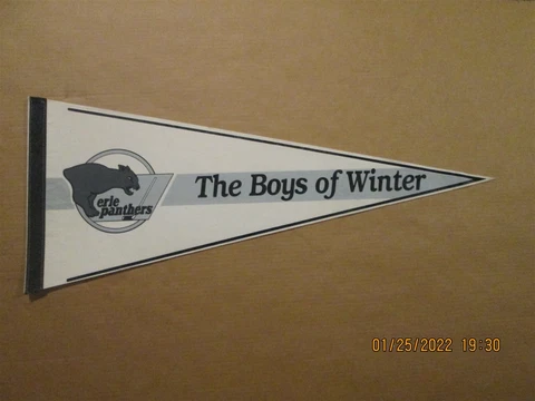ECHL Erie Panthers Vintage Defunct 1990-91 The Boys of Winter Team Logo Pennant Cover