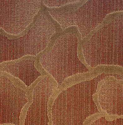 Alfombra Shaw Koi Azulejo-24"x 24" (12 Azulejos/estuche, 48 sq. ft/estuche) Foto 1 de 3