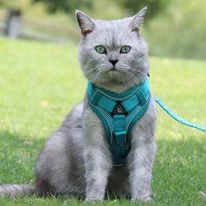 Katzenspezifisches Anti-Breakaway Katzenseil Silber Farbverlauf Kette - Bild 1 von 10