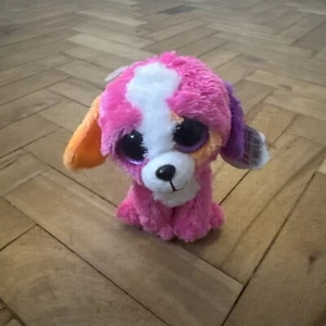 TY Beanie Boo Austin 6inch - Bild 1 von 5