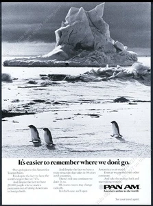 Foto de pingüino antártida 1976 Pan Am Airlines anuncio impreso vintage - Imagen 1 de 1