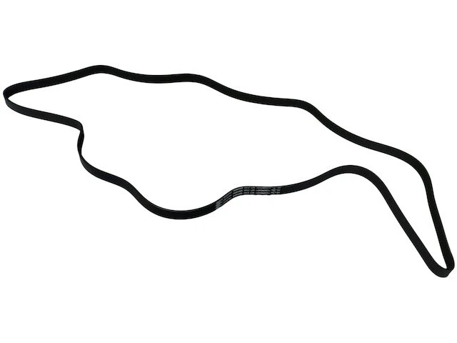 Cinturón multi costilla SKP 82JM91K para Lincoln Navigator Serpentine Belt 2010-2014 Foto 1 de 1