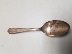 Wallco Sectional A1+ City of Audubon Serving Spoon - Picture 1 of 3