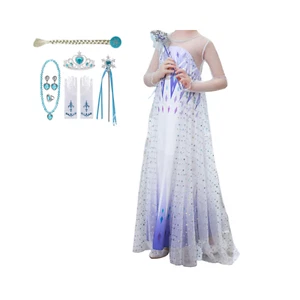 Elsa Birthday Dress with Frozen 2 Accessories - Picture 1 of 9