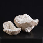 Natrliche Calcit Marokko - 596 G - Schreibtisch der Kuriositten Mineral