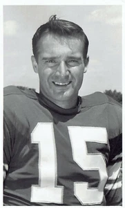 TYPE 1: 1970 Press Photo Minnesota Vikings Football Player Gary Cuozzo - Picture 1 of 2