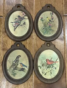 Juego de 4 placas de pared ovaladas de madera para pájaros 6,5X4,5 - Imagen 1 de 6