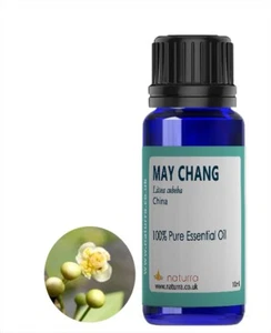 Litsea Essential Litsea Cubeba 100% Pure May Chang 10ml 20ml - Picture 1 of 3