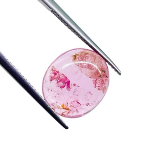6.80 Cts Natural Tourmaline 14x12mm Bi color Cabochon Untreated Loose Gemstone - Picture 1 of 15