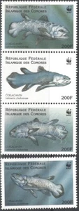 COMORO ISLANDS Sc # 833a-d CPL MNH TIRA de 3 + 1 - WWF PECES ANTIGUOS - Imagen 1 de 1