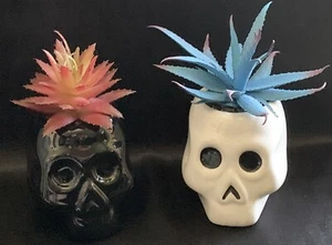 Hyde and Eek Faux Creepy Skull Plant Target 2019 Halloween Decoration Succulent - Picture 1 of 5