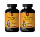 liver detox - LIVER SUPPORT COMPLEX - liver cleanse - 2 Bottles 120 Capsules