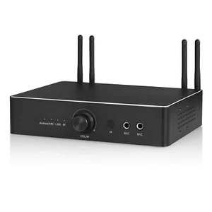 HiFi Bluetooth TPA3255 Verstärker Digital WIFI DAC MIC USB Player 300W Amplifier - Bild 1 von 13