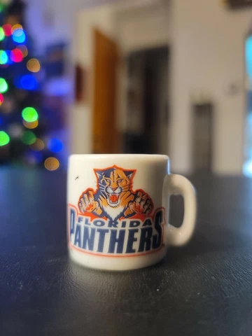 NHL Stanley Cup Crazy Mini Mug Florida Panthers Cover