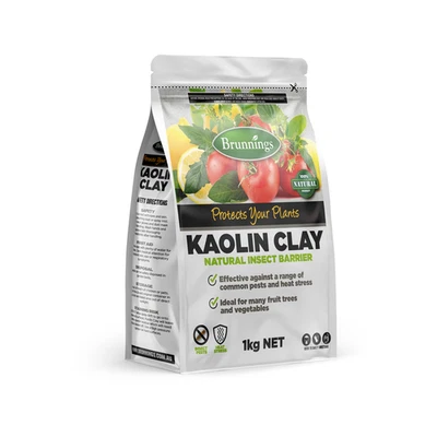 Brunnings 1kg Kaolin Clay - image 1 of 2
