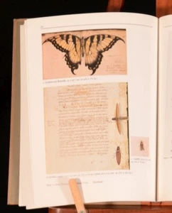 1984 America 1585 Drawings of John White Paul Hulton First Edition - Picture 1 of 8
