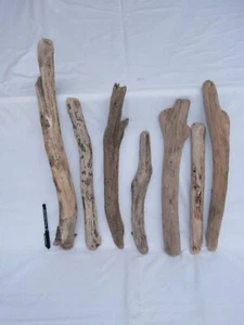 Legno di mare 36-57cm bastone ramo tronco grande (2547) fai da te shabby deco - Foto 1 di 3