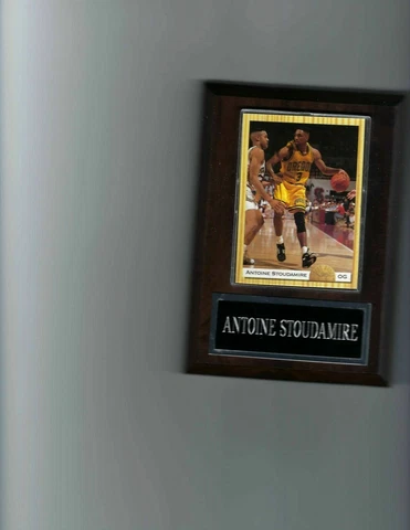 ANTOINE STOUDAMIRE PLAQUE OREGON DUCKS BASKETBALL NCAA  C Cover