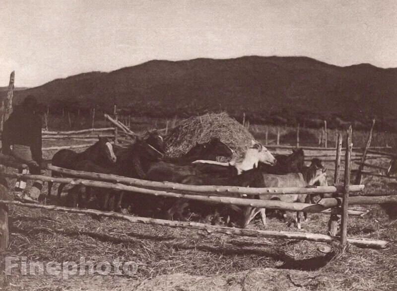Corral de caballo indio nativo americano grabado fotográfico EDWARD CURTIS 1900/72 vintage Foto 1 de 1