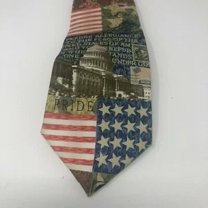 Eagles Wings America USA Pledge of Allegiance Necktie 100% Silk American Tie - Picture 1 of 4
