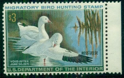US #RW37 $3.00 Ross’s Geese, og, LH, VF,  Scott $65.00 - Image 1 of 2