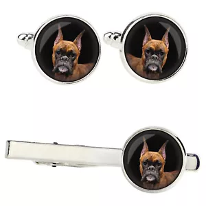 Boxer Set mit Klammern in einer Schachtel mit Bild. Art-Dog - Bild 1 von 9