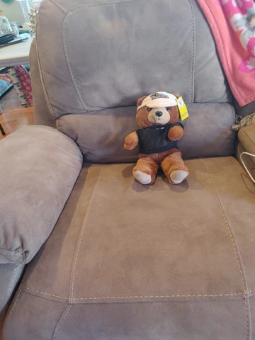 Oakland Raiders Teddy Bear Plush NFL 13" Cover