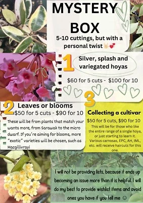 Hoya Combo Pack Mystery Bundle - Pick your amount - See Cover Photo - Image 1 of 4