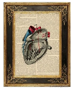 Heart #3 Art Print on Vintage Book Page Medical Anatomy Illustration Home Decor - Picture 1 of 3