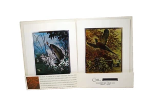 Palenske Sportsmens Prints Portfolio Color-Etch Prints 3 Prints Metallic 3D 70s - Picture 1 of 8