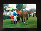 Maureen Haggas ( Piggott ) - Top Racehorse Trainer - Signed Colour Photo