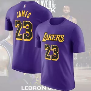 SALE! Lebron James #23 Los Angeles Lakers Name & Number FAST SHIPPING for Fans - Picture 1 of 11