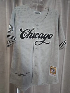 Chicago Batting Jersey/ Chicago American Giants - Picture 1 of 9