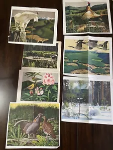 Nature Animals By Fred Ludekens American Illustrations 1950 Clippings Lot Of 7 - Imagen 1 de 8