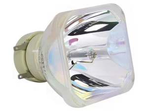 PHILIPS Beamerlampe für SONY LMP-E212 - Photo 1/1