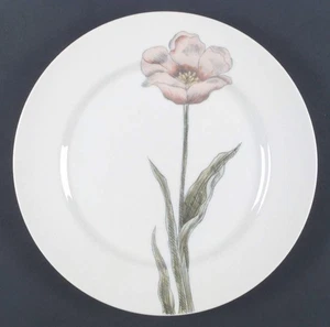 Fitz & Floyd Pastel Poppy Dinner Plate 5712760 - Picture 1 of 1