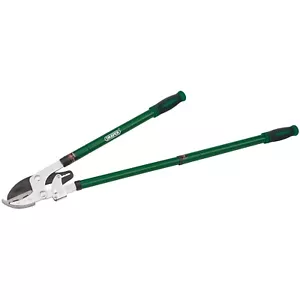 Telescopic Ratchet Action Anvil Loppers with Steel Handles Garden Green Draper - Picture 1 of 2