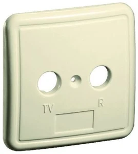 Cubierta de 2 orificios para caja de antena marfil 76x76mm - Imagen 1 de 1